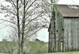 BackwaterStills.com - Best Friends, Farmhouse Decor