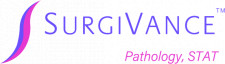 SV Logo