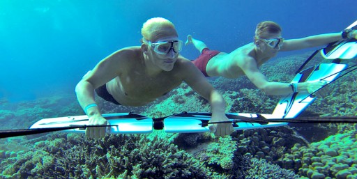 SUBWING Partners With Biosphere Foundation