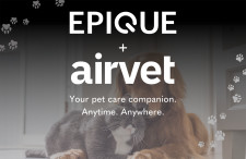 Epique + Airvet
