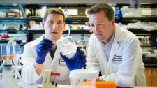 Josh Zimmerman, PhD, (right) and Todd McDevitt, PhD