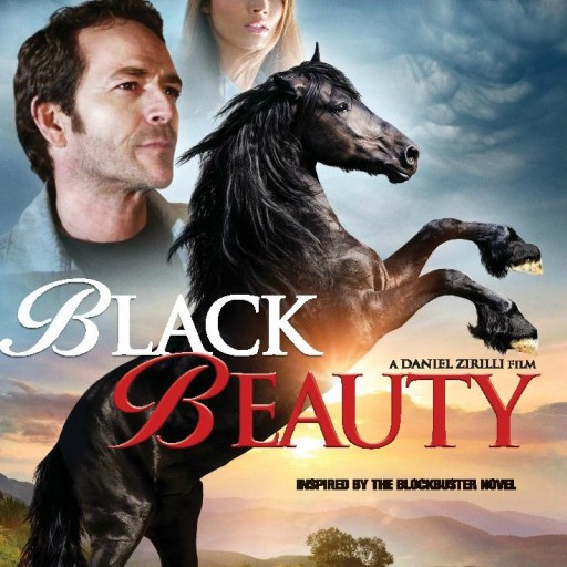 Black Beauty Rides Again: A Modern Spin on a Timeless Classic