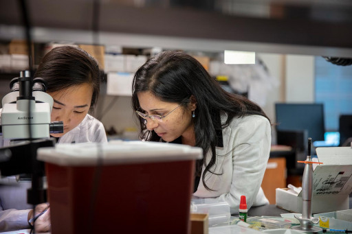 Science Crossing Borders: Celebrating the Contributions of Immigrant Scientists