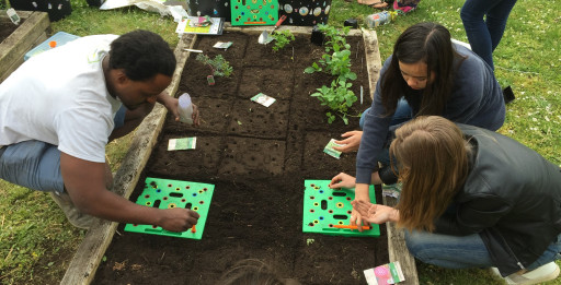 As Grocery Costs Rise, Seeding Square’s High-Density Gardening Tool is Cutting Food Costs