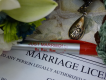 IL Wedding Officiant, Rev Pamela of Pine Manor Chicago