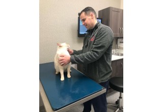 New Exam Room