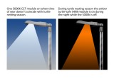 Bi-Spectrum Turtle Light