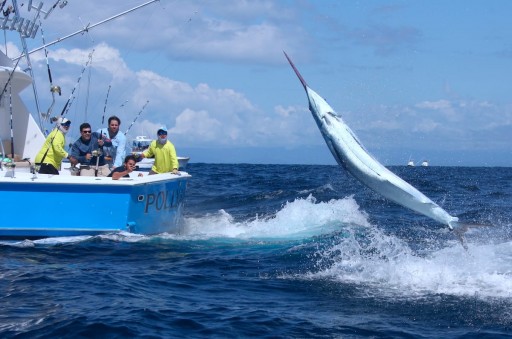 Tropic Star Lodge Annual Billfish Tournament Results