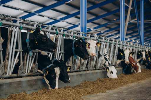 Addressing Climate Change by Changing Our Food Systems