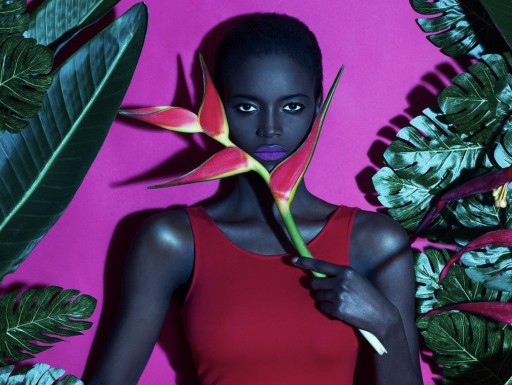 ArtBrief Has Launched a New Mobile and Classical Photography Marketplace With a Twist