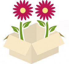 Blooms by the box Logo