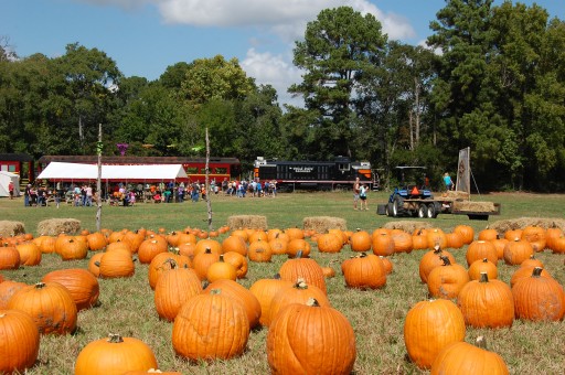 Texas State Railroad's 'Pumpkin Patch'