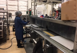 Manufacturing and Distribution 