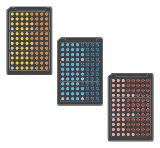Biolog Delves Into Characterizing Gut Microbiomes With the Launch of PreBioM Plates