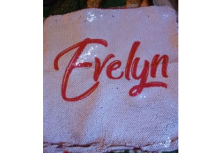 Sequin pillow