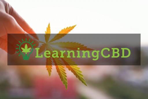 Comprehensive Report Details How Long CBD Oil Takes to Work