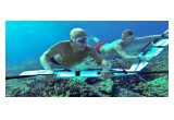 Suveying Coral Reefs