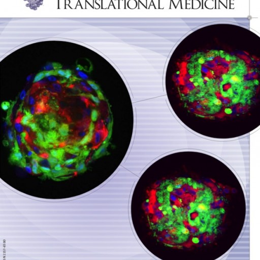 'Neo-Islets', a Major Advance Toward a Functional Cure of Type-1 Diabetes