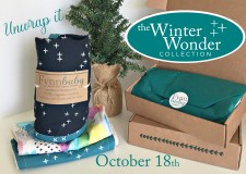 Winter Wonder Collection Sneak Peek