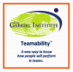 The Gabriel Institute