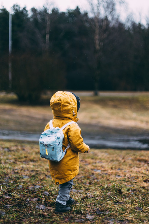 Strategies, Methods & Technology for School Districts Overcoming the Mental Health Crisis