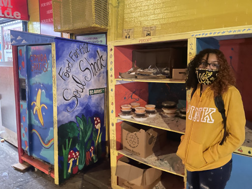 Holiday Food Insecurity: Key Learnings in the Bronx