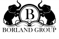 The Borland Group