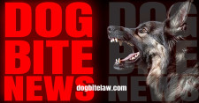 Dog Bite News