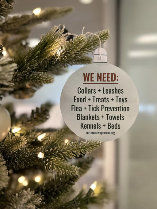 Gig Harbor Realtor Partners With NorthWest Wag Rescue to Help Dogs in Need This Holiday Season