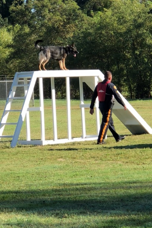 Mount Laurel Animal Hospital With the Aid of Local Businesses to Bring Explosives Detector Dog to Community