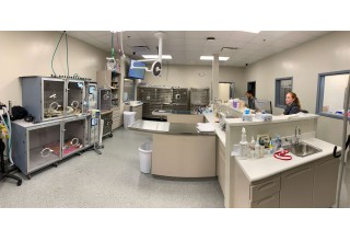 Intensive Care Unit