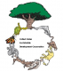 United States Sustainable Development Corp