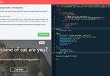 Interactive Quiz Project