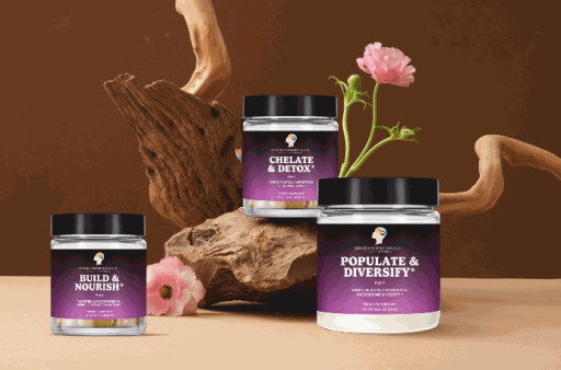 All-In Nutritionals and Autism Today’s CEOs Create Joint Company, Neuro Nutritionals, to Support Autism and Neurodiverse Community