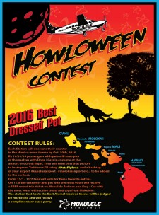 HowlOWeen Pets on Mokulele