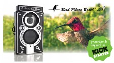 Bird Photo Booth 2.0 