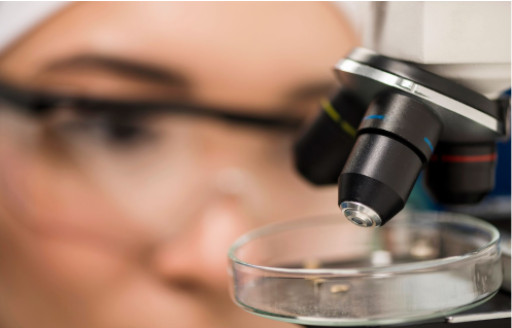 University of York Chooses Alces Flight to Boost Sustainable Research