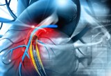 Open Heart Surgery Guidelines by Ampronix Medical Imaging