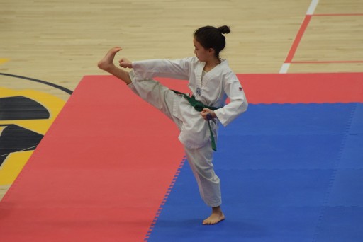 Badger State Games Provides Top Notch Martial Arts Events With Help of Greatmats