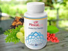 Pineal XT