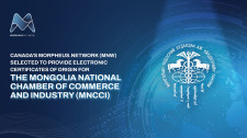 MNCCI MNW
