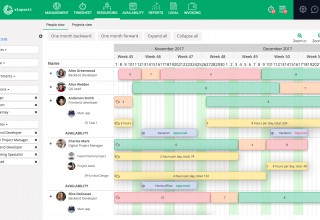 Resourcing planner elapseit