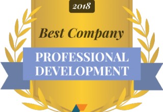 Best Companies for Professional Development
