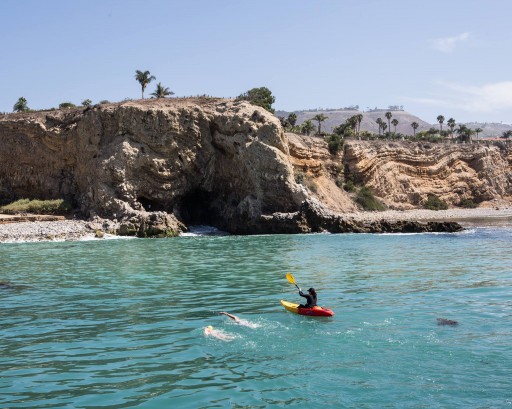 Seven Sisters College Women to Swim an Historic Open-Water Marathon Across Catalina Channel in Both Directions