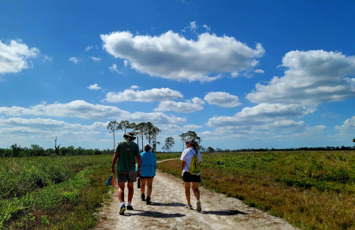 Florida Department of Environmental Protection and Live Wildly Foundation Celebrate 25 Years of Florida Forever During National Public Lands Day