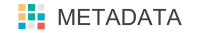 Metadata