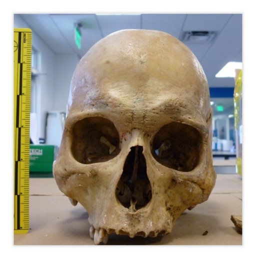 DNA Labs International Paves New Ways for Identification With Major Breakthrough in Unique Case