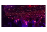 LED Lanyards dynamic color effects fill stadium with high energy experience