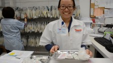See A Hawaii Doctor Online To Get Your Hepatitis A Prescription 