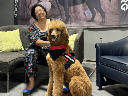 Army Veteran Finds Healing and Hope Through New Service Dog After Heartbreaking Loss